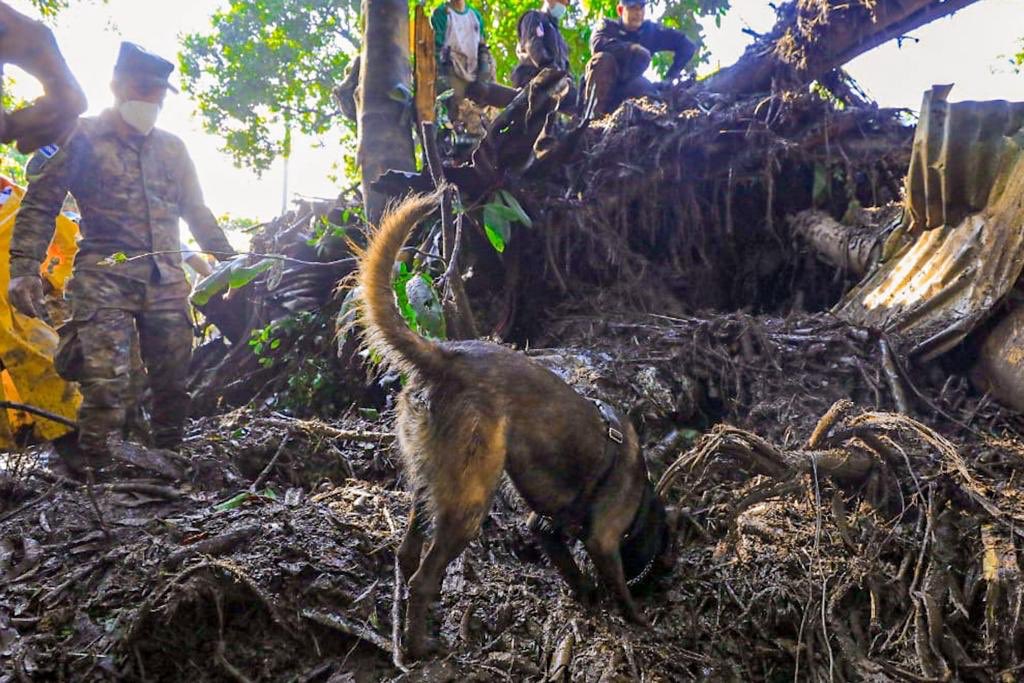 Agentes caninos de la Fuerza Armada continúan buscando personas soterradas por deslave en Nejapa agentes-caninos-de-la-fuerza-armada-continuan-buscando-personas-soterradas-por-deslave-en-nejapa